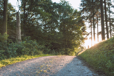 Road amidst trees on field against sky