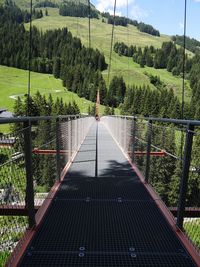Footbridge amidst trees and plants