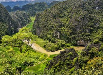 High angle view of trees on landscape