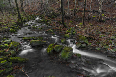 Stream flowing through rocks in forest