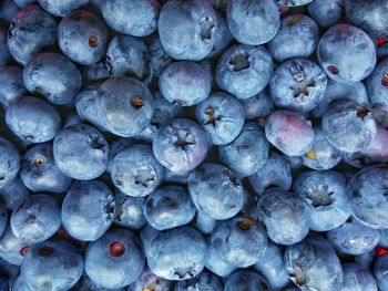 Full frame shot of blueberries at market for sale