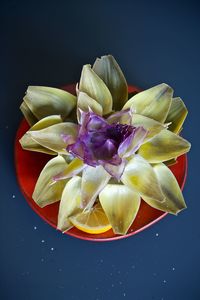 Close-up of flowers over black background