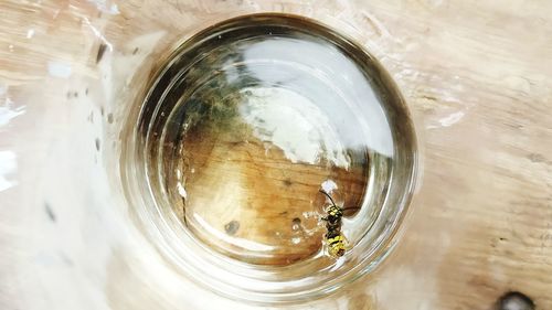 Close-up of glass