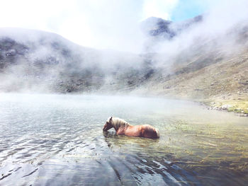 People kayaking in lake