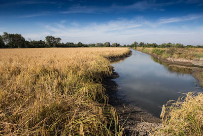 Scenic view of land against sky