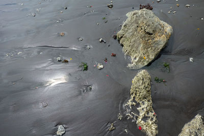 High angle view of rocks on shore at beach