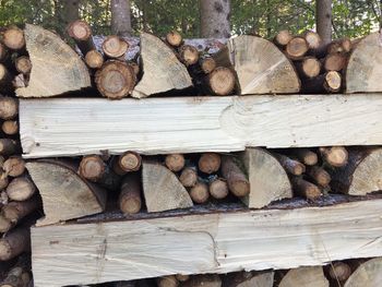 Stack of logs in forest