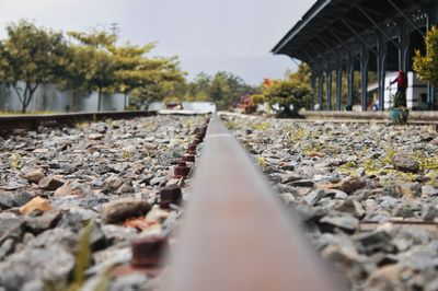 Surface level of railroad track amidst trees against sky