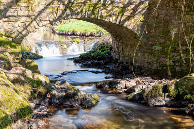 Stream flowing through rocks amidst trees