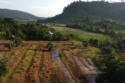 High angle view of trees and mountains against sky