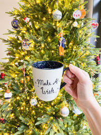 Man holding christmas tree