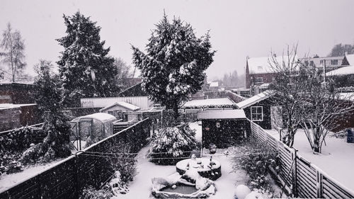 High angle view of trees by swimming pool during winter