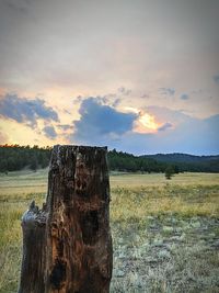 Panoramic view of wooden post on field against sky