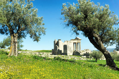 Castle by tree on field against clear sky