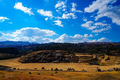 Scenic view of field against sky