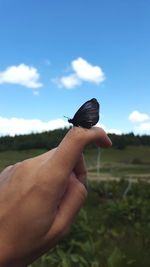 Close-up of hand holding finger against sky