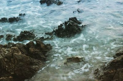 Close-up of rocks in sea