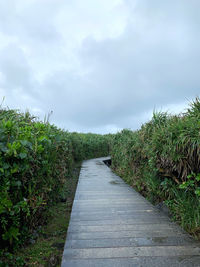 Empty road along plants and trees against sky
