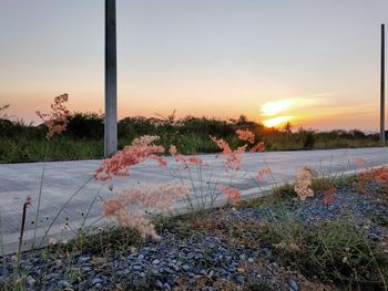 Scenic view of field against sky during sunset