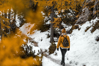 Rear view of young woman hiking on snowy path surrounded by yellow larch trees