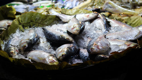 High angle view of fish for sale in market