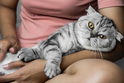Midsection of person with cat relaxing on bed