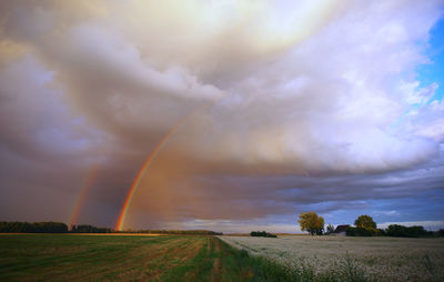 Double rainbow over farm field