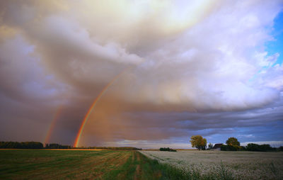 Scenic view of rainbow over field against sky