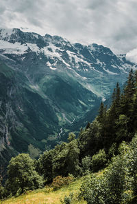 Lauterbrunnen valley, switzerland, jungfrau. swiss alps. mountain view. gorge and green forest.