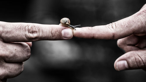 Close-up of people holding hands