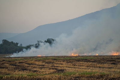 The agricultural waste burning cause of smog and pollution