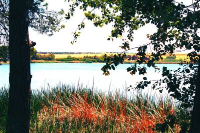 Scenic view of lake against sky