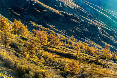 High angle view of tree mountains