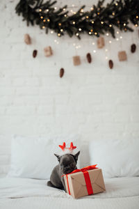 High angle view of christmas decorations on snow