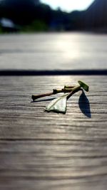 Close-up of wood on lake