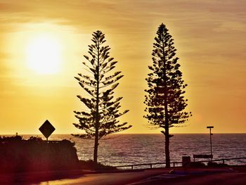 Silhouette tree by sea against sky during sunset