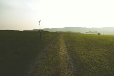 Road passing through field