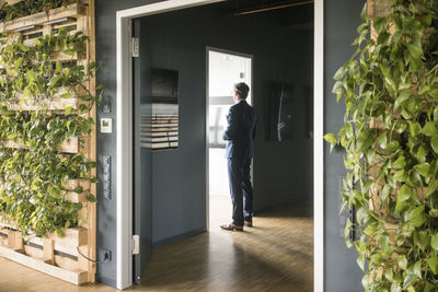 Mature businessman standing at a door in green office