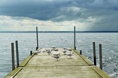 Seagulls perching on wooden pier over sea against sky