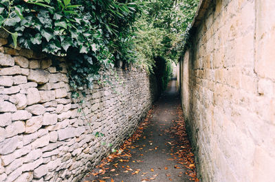 Narrow footpath leading next to wall