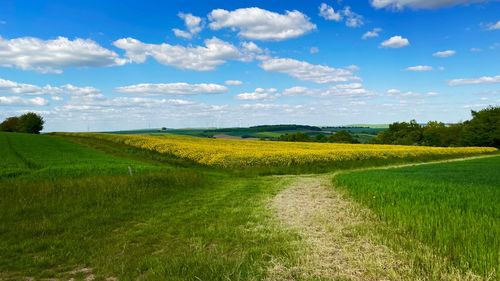 Scenic view of field against sky