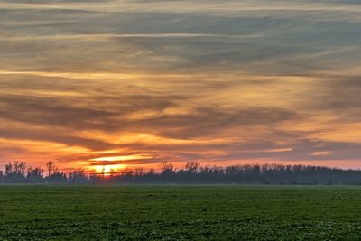 Scenic view of field against sky during sunset