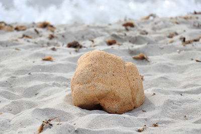 Close-up of rocks on beach