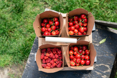 Carrying basket with boxes full of freshly picked berries.