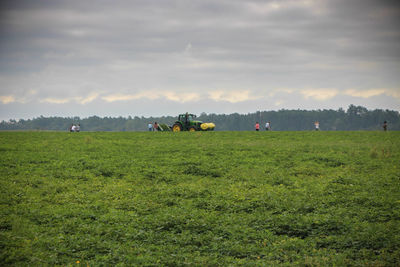 People with tractor on peanut farm against sky