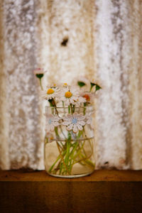 Close-up of vase on table against wall