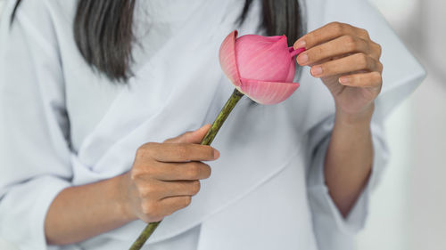 Close-up of hand holding white flower