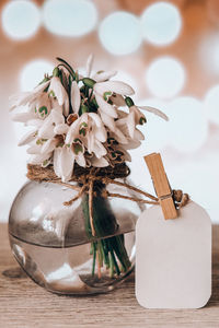 Bouquet of snowdrops in a glass vase with water. copy space for text. mock up with a tag. early 