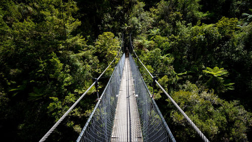 Person standing on suspension bridge amidst trees in forest