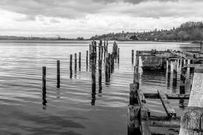 Decaying pilings landscape in ruston, washington.